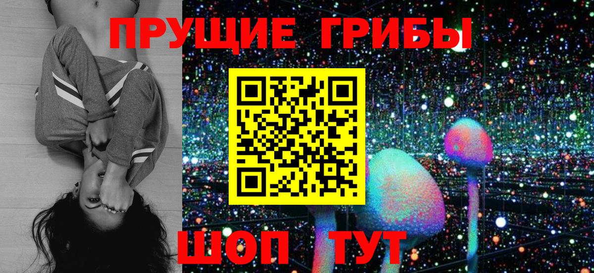 Псилоцибиновые грибы мицелий  Вход с VPN  Вязьма 