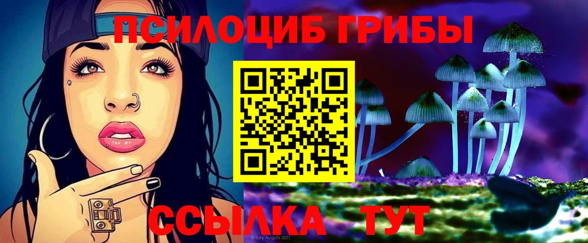 Галлюциногенные грибы мицелий Вязьма